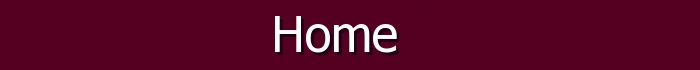 Home Banner made using Bannerfans